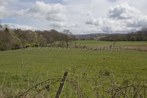 fence sparrowhawk 84.jpg